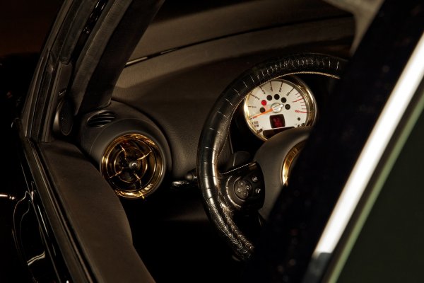 MINI Paceman by Roberto Cavalli