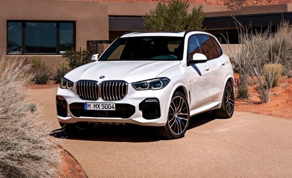 Гамата на баварския SUV е почти без промени за 2022 година, ако не броим добавянето на версията Black Vermilion, която е ограничена до 350 автомобила. От целия набор варианти изборът на американските колеги пада върху xDrive40i, благодарение и на много ефективната му 48-волтова електрическа система. 
"Х5 без усилия комбинира комфорт, спорт и технологии, за да произведе върховно шофьорско преживяване", пишат авторите на класацията. А ако се нуждаете от повече мощност, има го и чудовищното X5 M с неговите 600 конски сили. 

Базова цена в САЩ: $61,595
Базов двигател: 3.0-литров редови, 335 коня
Товарен обем: 935 литра