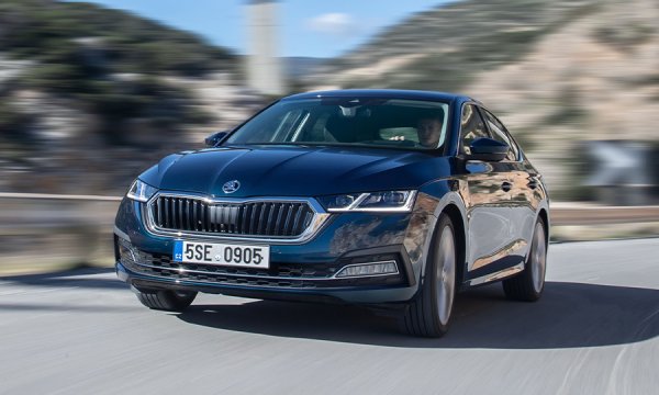 В патриотизма на чехите няма никакво съмнение: първите пет най-продавани модела са на Skoda, начело с Octavia - 1481, Fabia - 1297, и Scala - 930. В топ 10 попадат общо седем шкоди, а също произвежданият на чешка земя Hyundai i30 и сглобяваната в братска Словакия Kia Ceed. 
