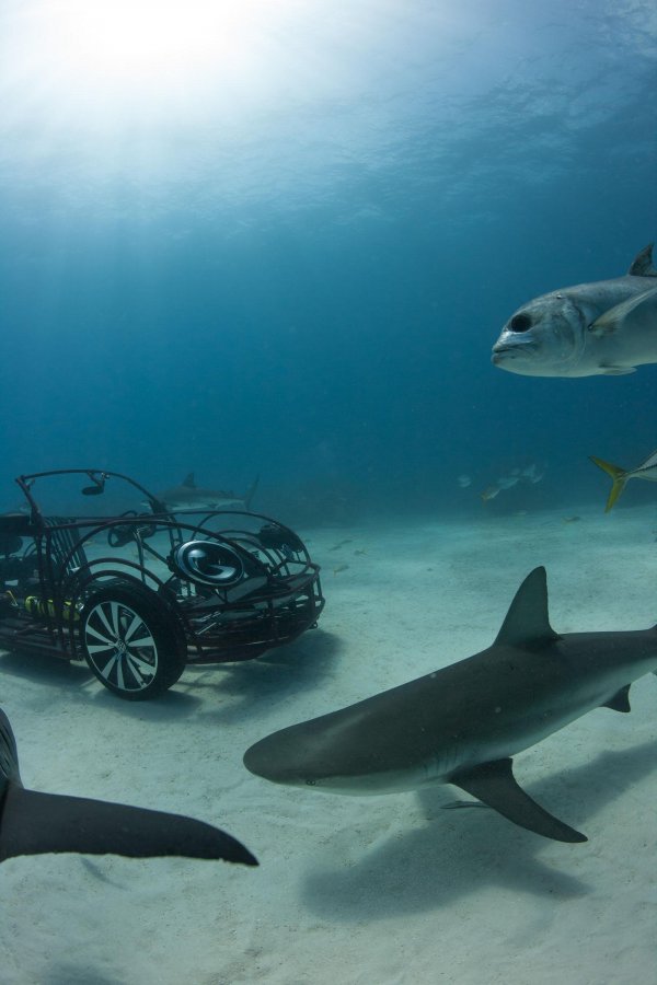 Подводен Volkswagen Beetle за "Седмица на акулите" по Discovery
