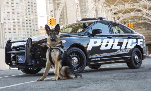 Police Responder Hybrid Sedan 