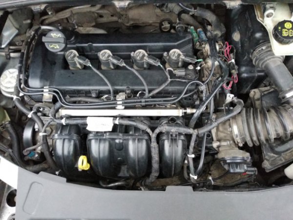 Ако имате нужда от друг надежден двигател, може да обърнете внимание на Ford 2.0 Duratec. Подобно на повечето други "американци" на пазара, той има само един смъртоносен грях - висок разход на гориво. Може също да намерите модификации на газ, но те не са много популярни поради слабата си стабилност на работата.