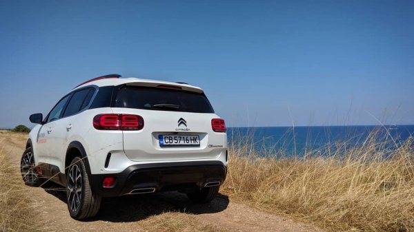 След дълги години лутане групата Peugeot най-сетне намери точната позиция на легендарната марка - с неконвенционален дизайн, насочена най-вече към по-млада публика. Продажбите растат, а също и печалбите, благодарение на по-доходни модели като C5 Aircross. 
Продажби: 543 499 (+6.8%)