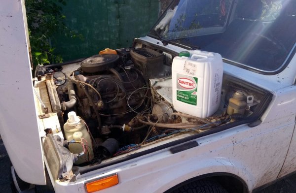 Една от вечните "болежки" е изтичането на антифриз през различни връзки, крана на радиатора или от помпата. Разширителният резервоар не е достатъчно здрав.

Същото е и при течовете на масло - двигателят и всички трансмисионни агрегати текат, а смяната на уплътненията помага само за известно време.

Друго "нелечимо" заболяване е, че слабите уплътнения на врати и прозорци пропускат влагата. И изискват специална обработка.