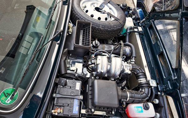 Моторът на ВАЗ‑2121 с 8к лапана и мощност от 79 до 83 к.с. получи увеличен до 1,69 литра обем и инжекционна система през 1994 г. След това агрегатът бе доработван многократно, включително и заради екологичните изисквания. Той се поставя и на родственика Chevrolet Niva.

Ресурсът на синхронизиращата верига е около 100 000 км, но с късмет може да надживее двигателя - ограничението се оценява на 150 000 км. Самият двигател е прост и лесен за поддръжка.

Основни недостатъци: шумен, ненаситен, склонен към разход на масло и прегряване (поради капризите на термостата). Производствените дефекти са чести в различни елементи. Често срещани източници на външен шум: водна помпа, хидравлични повдигачи, главни и свързващи лагери.