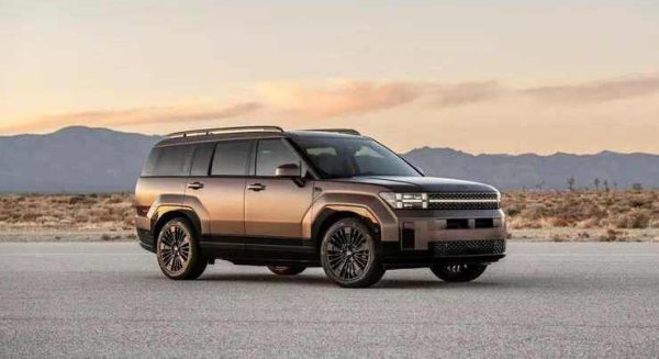 Новият Hyundai Santa Fe е пораснал, което го прави много просторен отвътре и може да се похвали със солиден багажник. Хибридната версия със задвижването, взето от по-малкия Tucson, не е особено бърза, но е икономична.

Плюсове: Просторен и практичен интериор; Висококачествени материали в салона.

Минус: Няма много добра динамика
