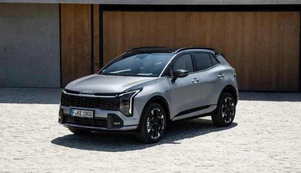 Хибридният Kia Sportage споделя същия силов агрегат с Hyundai Tucson и Santa Fe, но е по-евтин и по-добре оборудван. Кросоувърът е икономичен и може да ускори от 0 до 100 км/ч за 7,2 сек.

Плюсове: Не много висока цена; Просторен багажник.

Минус: Ограничено място за главите на пътниците отзад.
