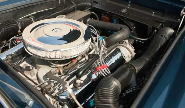 С удължените си пропорции и елегантни линии, купето и кабриолетът AC Frua изглеждат далеч по-изискано от бруталната Cobra и са предназначени да се конкурират с най-добрите гранд туръри на Ferrari и Maserati.

Сглобяван от 1965 до 1973 г., от AC 428 Frua са направени само 81 бройки. Под капака е произведеният в Америка 7-литров Ford FE V8 двигател, развиващ приблизително 345 к.с. Някои от по-ранните версии са оборудвани с още по-мощния 427 Side Oiler - същият двигател, използван в състезателните Cobra, с мощност 385 к.с. В тези случаи автомобилът е обозначен като AC 427.
