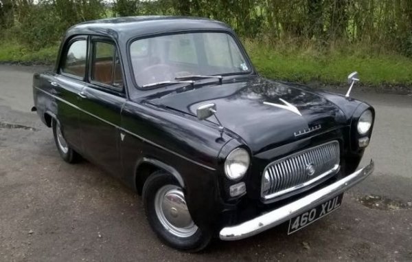 Префект е човек, който управлява определена територия. Как това название се съчетава с този иначе приятен на вид мъник, е трудно да се обясни. Впрочем който е чел &bdquo;Пътеводител на Галактическия стопаджия&rdquo; на Дългас Адамс, сигурно помни, че Форд Префект от Бетелгейзе беше симпатичен извънземен, който си е избрал това странно име, след като попада на Земята.
