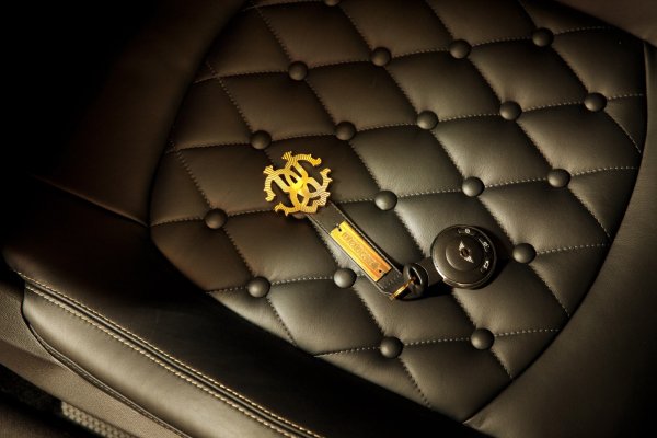 MINI Paceman by Roberto Cavalli