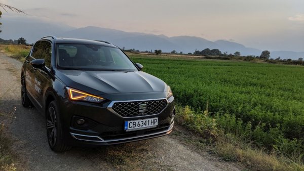 Кризата покрай карантинните мерки удари ключовите пазари на Seat в Южна Европа, което обяснява 34-те процента спад на годишна база. Пазарният дял е 3.3%. 
