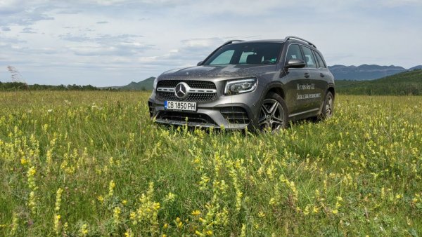 Премиум сегментът традиционно е по-неподатлив на кризи от масовия. Mercedes е потвърждението, с 21% спад тази година, но с пазарен дял, който се е увеличил от 5.1 до 5.9%. 
Дъщерната марка Smart обаче е катастрофирала с цели 85% спад на годишна база. 
