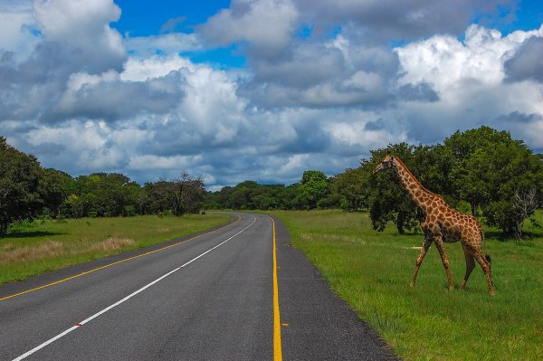 Граничеща с ЮАР и Намибия, Ботсвана е доста обширна (581 000 кв. км, колкото Франция), но много слабо населена (2.2 млн. жители) страна. Над 70% от територията й са покрити от пустинята Калахари, втората по размери в Африка. 
