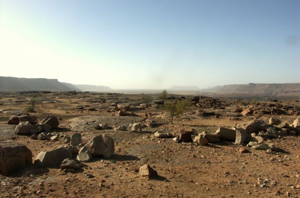 Бивша френска колония, над 91% от територията на която са в пустинята Сахара. При площ над 1 млн. квадратни километра едва 450 кв. километра са напоявана обработваема земя. 
