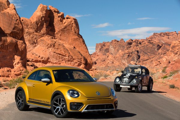 Beetle Dune