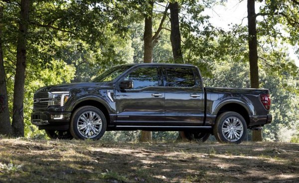 44-а година поред, големият пикап на Ford е най-продаваното превозно средство в Съединените щати. През 2025 дори има 9% ръст на годишна база. Това не включва електрическия F-150 Lightning, чието производство Ford спря заради мижав интерес. 
В текущата гама "екологичният" избор е 2.7-литровият V6 Еcoboost. Над него има по-голям V6 и няколко V8, включително 5.2-литровият Carnivore. Има и 3-литров дизелов V6, понеже американският Дизелгейт направи "дизел" срамна дума в Европа, но не и отвъд океана. 
F-150 с V8 може да се купи за еквивалента на 38,000 евро. В България за тези пари можете да си вземете добре оборудвана Kuga с 1.5 Ecoboost.