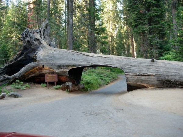Резултатът е малък тунел с ширина 5 метра и височина почти два и половина. В него два автомобила могат да се разминат без проблеми.
