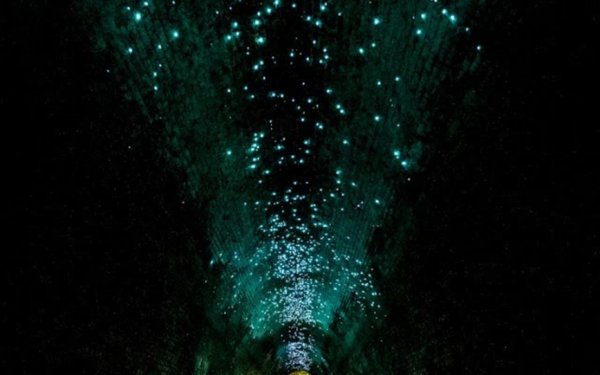 Когато човек види вътре "звездното небе", образувано от сиянието на тези насекоми, чувството е доста трудно да се опише с думи. Най-важното е да не се уплашите да влезете вътре.
