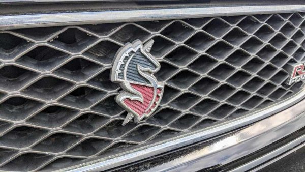 По-малко известният брат на могъщия Nissan Skyline - Stagea, е практично комби, което може да бъде почти толкова бързо, колкото GT-R. Като намигване към това, Nissan избира два еднорога, подредени във формата на "Cool S" от драсканици на тетрадки за тийнейджъри, за да покажат скорост, мощност и чистота на духа.
