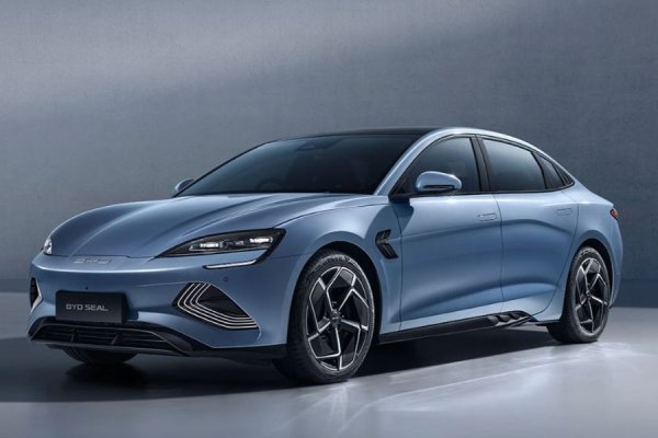 Основана през 2003 г., BYD се разрасна най-много от всички китайски производители. Тази публично търгувана мултинационална компания също така произвежда батерии и притежава няколко други марки, включително Denza, Dangwang и Fang Cheng Bao. През 2019 г. BYD  създаде съвместно предприятие с Toyota, което се занимава с изследване и разработване на превозни средства, задвижвани от батерии. Миналата година тя стана втората най-продавана марка BEV в света, изоставайки от Tesla с 234 000 бройки.
