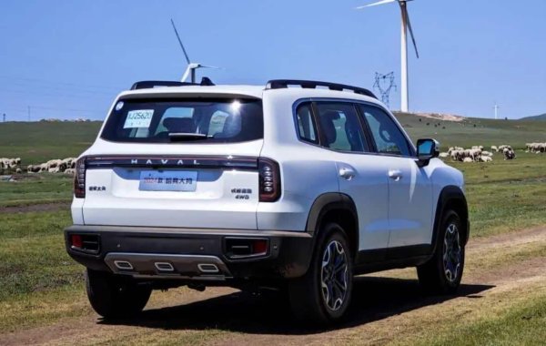 Great Wall Motor може да се определи като „китайския специалист“ за SUV и пикапи, които заедно представляват 99% от общите продажби на групата през 2023 г. По-специално, нейната марка Haval (на снимката) се фокусира изключително върху SUV автомобили и представлява 60% от общите продажби през 2023 г. Great Wall се фокусира върху средни и големи пикапи (16%), а нейната марка TANK  е с 13%. В допълнение, BMW Group избра GWM за разработването на новото електрическо MINI чрез компанията Spotlight Automotive.
