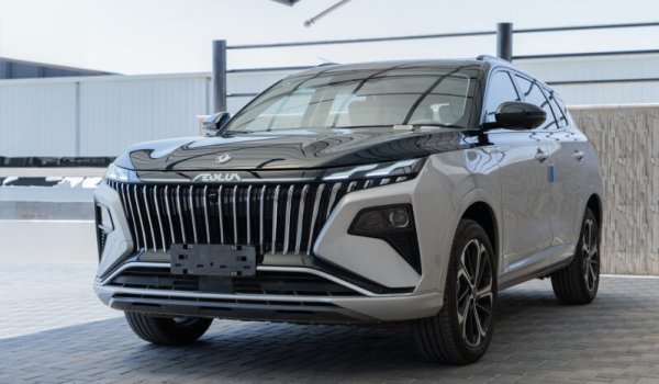 Dongfeng има голям обем продажби и шест различни притежавани марки, включително M-Hero, Voyah и Forthing, както и съвместни предприятия с Honda, Nissan-Infiniti и Peugeot-Citroen. Освен това Dongfeng има съвместно предприятие с Nissan за производството на автомобили Venucia. Миналата година Групата е продала 2,09 милиона единици, което е спад от 15% в сравнение с 2022 г.
