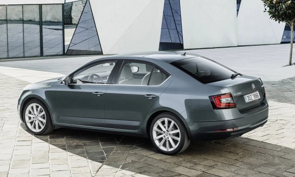 Въпреки това, Октавия има специфични проблеми. Основният е склонността на боята да се лющи. С течение на времето щетите се увеличават и боята често се лющи на цели парчета. Най-често това се случва на арки на колелата, первази и на съединенията на калниците с броните. Галванизацията ефективно издържа на удара, пречейки на метала да "цъфти" бързо, но не бива да оставяте ситуацията да се развие по течението. Поради лошо качество на уплътненията понякога се появяват драскотини по вратите.