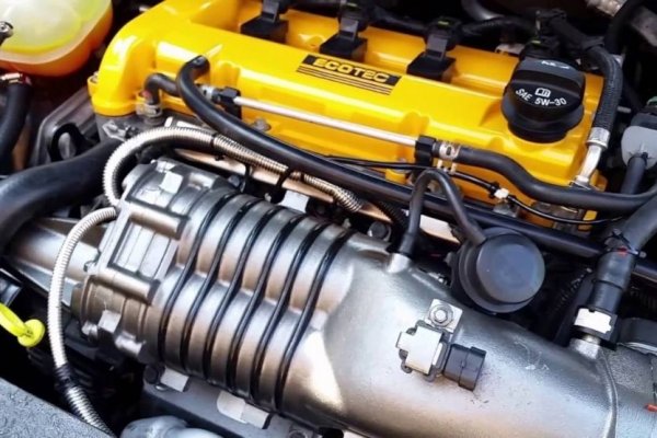 Първият 2,2-литров Ecotec беше представен през 2000 г., а седем години по-късно той беше значително подобрен, като получи по-здрава конструкция. 2.2-литровият се предлагаше в три версии (L61, LAP, LE8) с малки разлики между тях. Той задвижва модели като Saturn Ion, Chevy Malibu, HHR, Cobalt и други, като в най-мощния си вариант развива едва 160 к.с.

Оказва се обаче, че благодарение на здравината на конструкцията и на вътрешните си части, Gen II е много лесен за тунинг. Добавянето на система с принудителна индукция, производителни камери и няколко други евтини надстройки, включително това изключително важното пренастройване ECU, може да осигури около 350 до 400 к.с. Някои сервизи се възползваха от това и заедно с още няколко допълнителни модификации успяха да напомпат този мотор до над 1000 к.с.