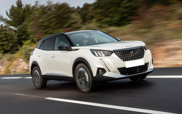 Французите отчитат спад от десетина хиляди автомобила спрямо 2019 (общо 139 951 доставки),  но запазват пазарния си дял заради общото свиване на пазара. 

