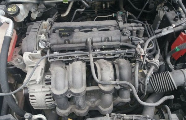 Обективно такъв прост атмосферен двигател няма слаби места. Но също може да загине при скъсване на ангренажния ремък. Както и от износване на цилиндрово-буталната група заради почукване в резултат на лош реглаж. Този икономичен двигател няма хидравлични повдигачи на клапаните, така че реглажът трябва да се прави ръчно. Но не чак толкова често - примерно веднъж на 300,000 км. Но ако тази процедура се пропусне, може да се стигне до бракуване на целия мотор. 
