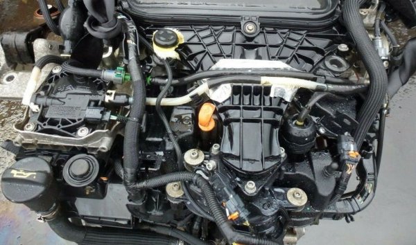 Достатъчно мощен, динамичен и икономичен, без в същото време да е скъп, този двигател се радва на голяма популярност. Какви са потенциалните капани? Една от най-честите причини за смъртта му е скъсан ангренажен ремък. Всички двигатели с Common Rail са проектирани по такъв начин, че ако газоразпределителният механизъм загуби синхрон, буталата удрят по клапаните. В този случай често е по-евтино да закупите на старо двигател с много по-малък пробег, отколкото да се мъчите с основен ремонт на пострадалия агрегат. 
Ако собственикът следи за състоянието на ремъка, подменя го редовно и не икономисва от масло, всяка версия на 2.0 HDI може да прослужи над милион километра. 
