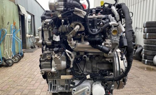 Неприятната и скъпа за ремонт част от този двигател е горивната система Common Rail на Delphi. Има много взискателна горивна инжекционна помпа, която изисква само оригинален филтър Delphi. В противен случай очаквайте появата на стоманени стърготини, които ще се утаят в резервоара и ще разрушат инжекторите. 
Но двигателят 2.0 TDCI не умира заради горивната система. Най-често се налага да бъде заменен в Transit поради внезапни прескачания или скъсвания на веригата. Има и много случаи на намалена компресия поради износване на бутални пръстени и износване на цилиндри. Чува се и почукване от буталните щифтове.