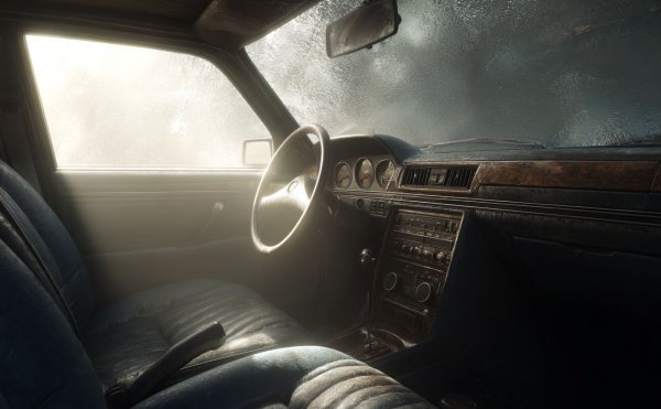 Ако в кабината се появи влага и няма циркулация на въздуха, се образува плесен. Отначало се усеща лека миризма на влага, която скоро прераства в "миризмата на старо мазе".

След месец престой автомобилът може да не посрещне шофьора по най-гостоприемния начин. В кабината има усещане за влажност, а по платовете на седалките има белезникаво покритие, сякаш някой се опитва да пусне мъх там. Това са първите признаци на гъбички, които с времето могат да се превърнат в истинска плесен. Стелките, тапицерията, седалките и гумените уплътнения страдат най-много – точно там, където се натрупва влага.

В такава ситуация климатикът също се усеща - вместо свежест, той може да даде на шофьора и пътниците коктейл от мухлясал въздух, спори на гъби и мухъл, както и микромиризми, които остават от разлагането на гъбични култури и влагата. Нито една "смрадлива рибена кост" няма да те спаси от такава "смес".
