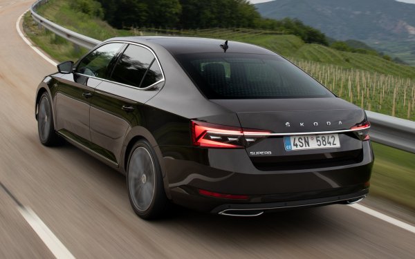 Дълги години наричахме D-сегмента "класа на Passat", но вече ще трябва да го прекръстим на "класа на Superb". Чешкият модел е успял да продаде точно същата бройка, каквато и през 2018. От тези 667 коли 496 са с дизелови агрегати. 206 са комби версии, останалото се пада на седана. 
