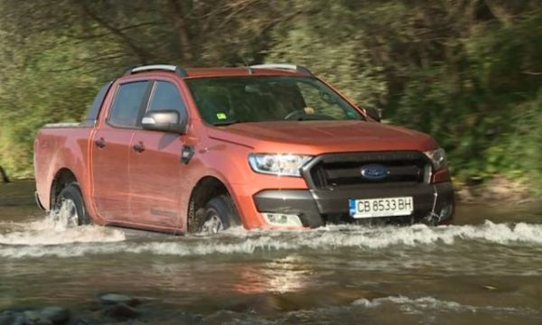 Един от най-големите губещи през 2020, с 52.7% спад спрямо миналата година. Отпадането на някои от най-достъпните версии на Fiesta и Focus от гамата заради екологичните изисквания със сигурност се е отразило. На двата доскорошни бестселъра на марката сега се падат под една четвърт от продажбите. Лекотоварната гама и пикапът Ranger са основното оръжие на Ford пред изминалата година. 
НАЙ-ПРОДАВАН МОДЕЛ: Ranger - 159 автомобила
Други основни модели: Transit - 134, Focus - 110, Fiesta - 107, Custom - 84, Ecosport - 81, Courier - 60, Puma - 35, Connect - 32, Mondeo - 30, Kuga -23, Mustang - 16, S-Max - 2.
