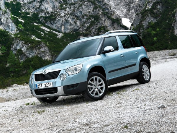 Кросоувърът Skoda Yeti е по-стар от останалите модели в тази класация, така че е по-евтин. Разполага с просторен интериор с възможност за трансформация и икономични дизелови двигатели.

Плюсове: просторен и практичен интериор; икономични двигатели.

Недостатъци: лоша шумоизолация; има какво да се желае по отношение на задните седалки

