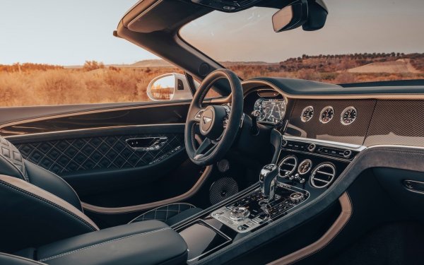 Доста елегантно решение е измислено от инженерите на Bentley. В Continental GT екранът остава скрит дори след включване на запалването. За да се появи дисплеят, трябва да натиснете специален бутон. И когато вече нямате нужда от екран, той отново ще се скрие под дървената облицовка.
