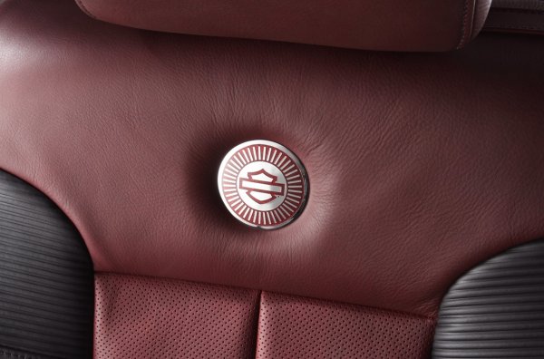 Ford F-150 Harley-Davidson 2010