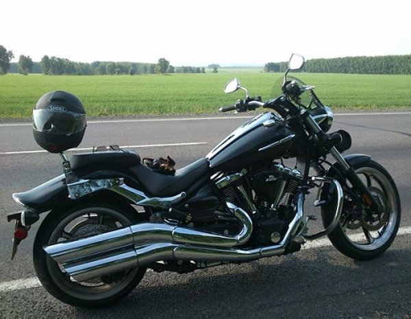 Ако търсите универсален спортен туристически мотоциклет, разгледайте предложенията на марката Yamaha. XV 1900 е един от онези скъпоценни камъни, които предлагат на днешните "ездачи" най-доброто изживяване при шофиране. Предлага не само удобен нисък стил на шофиране, но и достатъчна мощност за бързо движение по магистралите: от 89 к.с. в европейски модификации до повече от 100 в американските.

Този красив байк ще ви отведе където пожелаете, независимо от терена: той се движи със същата пъргавина по гладки магистрали и неравни селски пътища. Със здрав и удобен дизайн с телескопична предна вилка (110 мм ход), мощен двигател и много място за пренасяне на вашите ценности, XV 1900 е страхотен туристически велосипед.

Със скорост до 205 км в час, той гарантира незабравимо изживяване на пътя. Японският флагман има няколко варианта на производителност (с отделна версия на двигателя за всяка), но всички имат много атрактивен външен вид, а възможностите за надстройка са почти безкрайни.