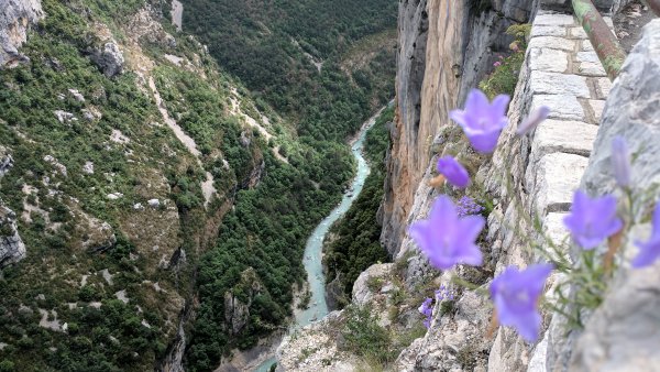 Ждрелото на Вердон