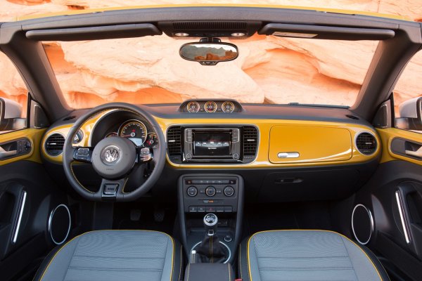 Beetle Dune
