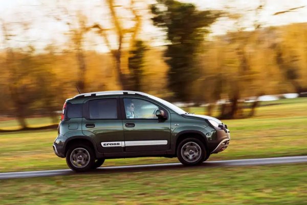 1. Fiat Panda - 40,097 регистрации (17.7% ръст спрямо 2023)
2. Fiat 500 - 25,795 (-14.1%)
3. Toyota Aygo X - 25,681 (25.5%)
4. Hyundai i10 - 16,483 (-4.3%)
5. Kia Picanto - 13,749 (-12.6%)
6. Suzuki Ignis - 10,275 (68.8%)
7. Fiat 500e - 9,438 (-30.0%)
8. Renault Twingo - 8,932 (18.7%)
9. Dacia Spring - 7,732 (-44.4%)
10. smart fortwo - 3,259 (-36.5%)
ОБЩО ЗА СЕГМЕНТА - 166,555 (-2.6%)
