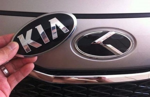 Червеното овално лого не е познато за корейските клиенти на Kia. Там компанията ползва друга елипса, със стилизирано сребърно 'K' на син фон или без фон. Всъщност тази емблема се харесва и другаде по света, защото масово се поръчва от сайтове като Amazon и Alibaba. 
Емблемата на спортния модел Stinger в Корея пък е стилизирано Е - никой не знае точно защо. 
