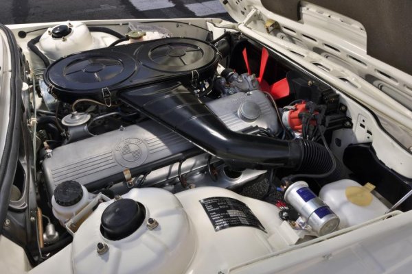 Моделът 530 MLE (Motorsport Limited Edition) разполага с редови мотор M30 с обем 3,0 литра, който развива 200 конски сили и 277 Нм. Седанът ускорява от 0 до 100 км/ч за 9,3 секунди и развива 208 км/ч и тъй като е разработен от спортното подразделение на BMW поучава по-тънки стъкла, по-дебели стабилизатори и нови пружини. 