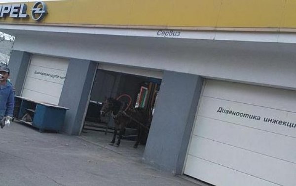 АвтоСмях