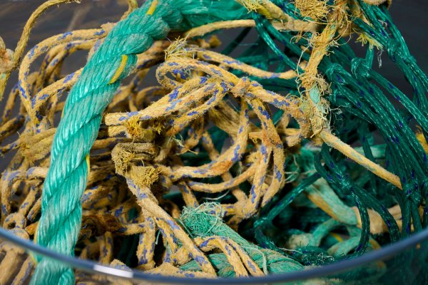 Най-сложно за момента е рециклирането на пластмасите, защото в досегашните производствени практики обикновено се ползват комбинации от няколко различни вещества, които трудно се отделят едно от друго. BMW върви към въвеждането на мономатериали, състоящи се от само един вид пластмаса. Кутията на предния багажник (frunk) се прави от 30% рециклирана пластмаса - по-точно, от стари рибарски мрежи. 
