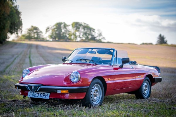  &bdquo;Грозното патенце&ldquo; Alfa Romeo S3 Spider изглежда малко по-малко привлекателно от другите версии на Alfa Spider, но въпреки това експертът е уверен, че тази модел, който сега струва между 8100 и 21 5000 долара може да се превърне в една истинска италианска класика.
