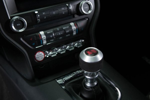 Saleen S302 Black Label 