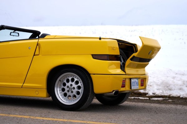 Като платформа и двигатели SZ почти не се отличава от серийната Alfa Romeo 75, но повечето панели по купето са от специална пластмаса за понижаване на теглото. Окачването идва от рали версията на Alfa 75, с хидравлични амортисьори от Koni. Колата ползва гуми Pirelli P Zero и според консктрукторите й може да понесе до 1.1G странично ускорение в завой. При тестове обаче собственици на SZ са постигали и 1.4 G - добро постижение дори в наши дни.
