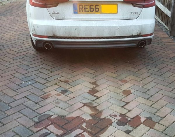 Не само собствениците на BMW са измислили списък с повтарящи се повреди и проблеми. Тези на Audi също трябва да се примирят с някои дефекти на своите автомобили, като тях е течът на масло. Той засяга най-често модела A4, като се дължи на лоши уплътнения на разпределителния вал, на капака на клапаните или на коляновия вал. Ако ще купувате Audi A4 на старо, закарайте го в сервиз и проверете именно тези детайли.